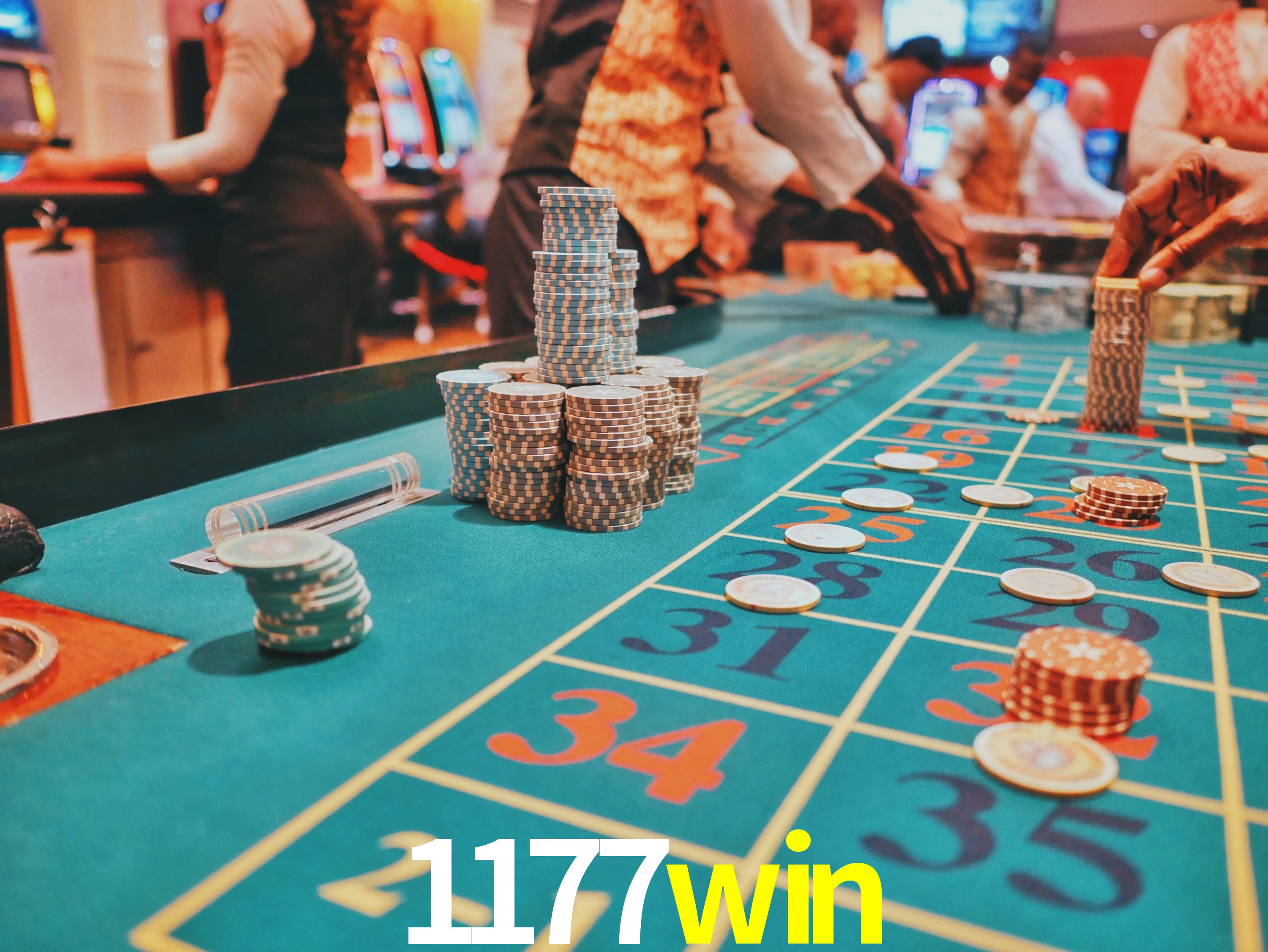 Estatísticas Esportivas 1177win