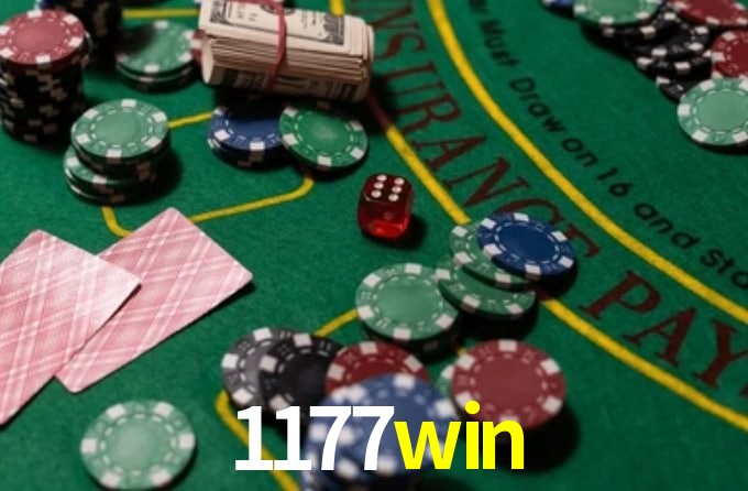 1177win App Interface
